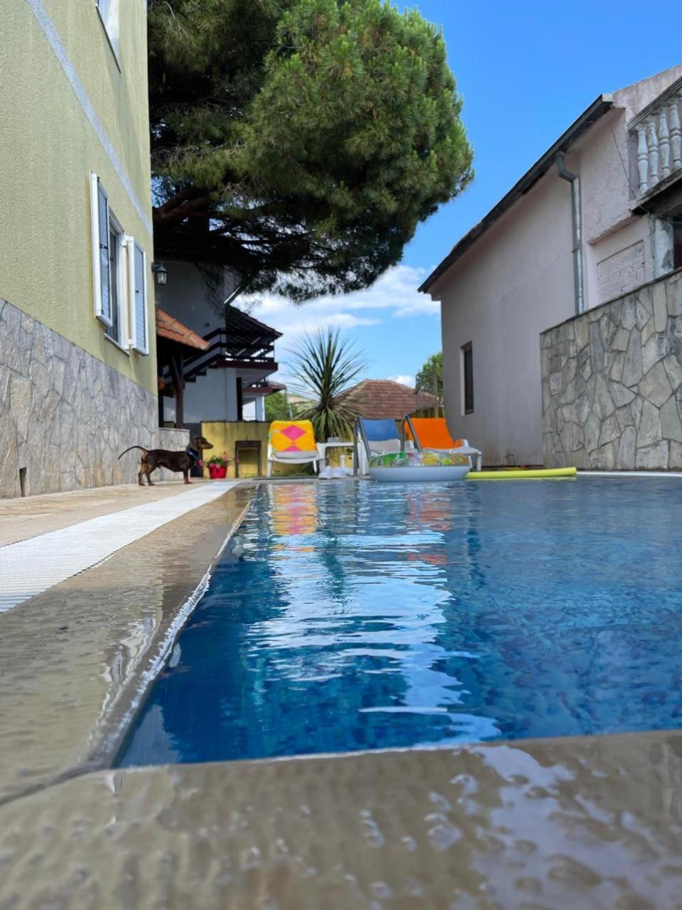 Apartments Villa-G Lustica Τίβατ Εξωτερικό φωτογραφία